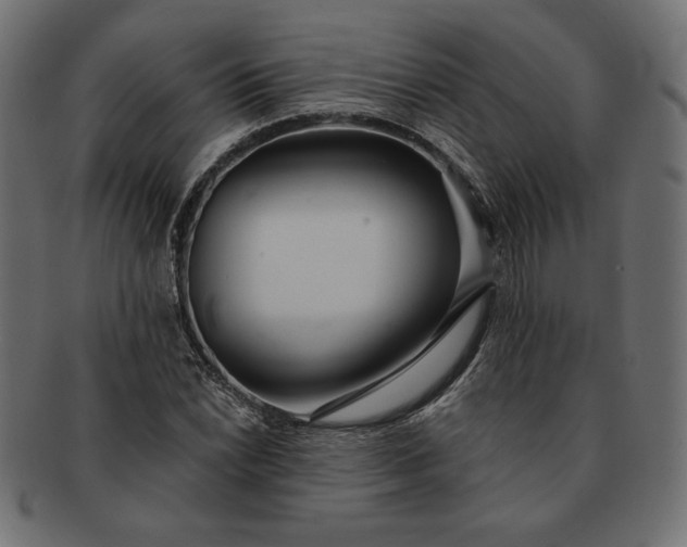 X0000091701022200709071344