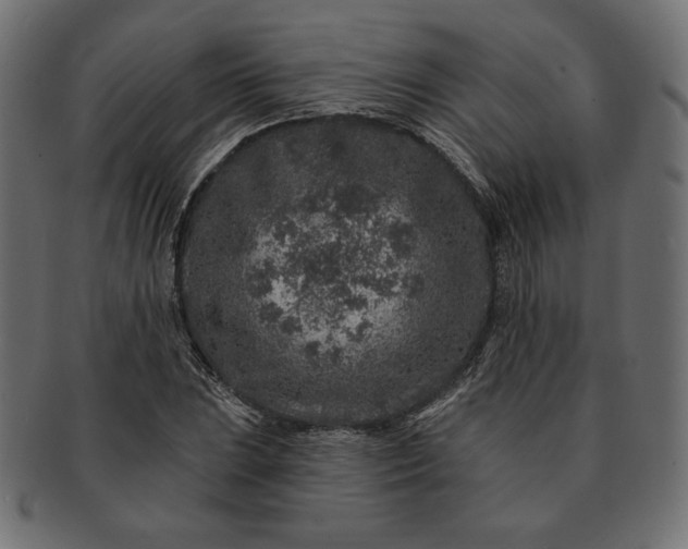 X0000091701023200709071344