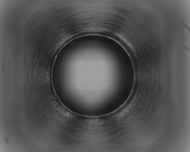 X0000091701025200709071344