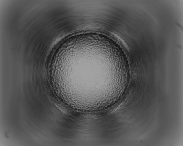 X0000091701027200709071344