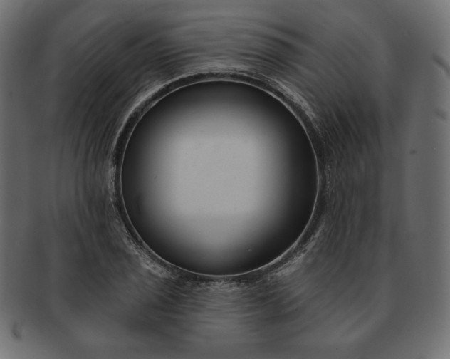 X0000091701029200709071344