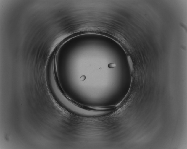 X0000091701030200709071344