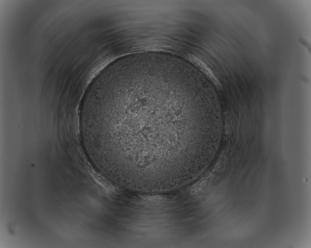 X0000091701031200709071344