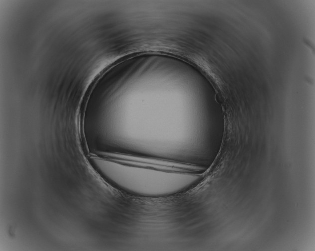 X0000091701032200709071344