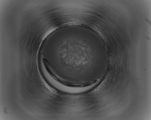 X0000091701034200709071344