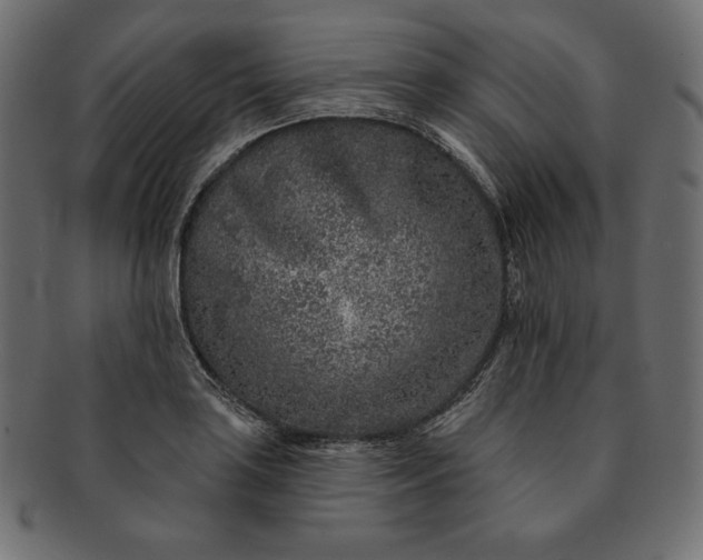 X0000091701035200709071344