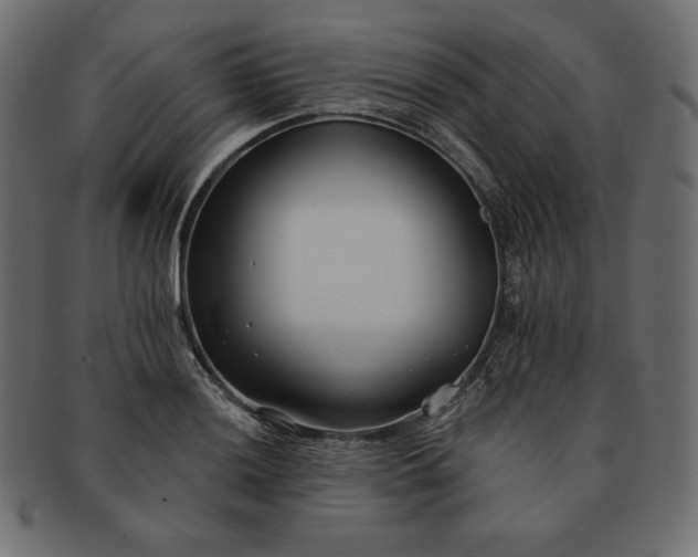 X0000091701036200709071344