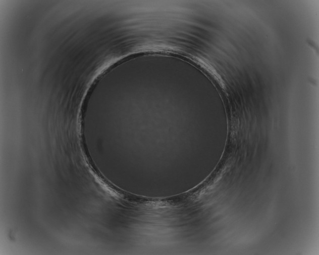 X0000091701037200709071344