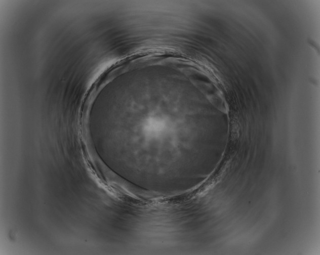 X0000091701038200709071344