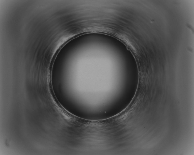 X0000091701040200709071344