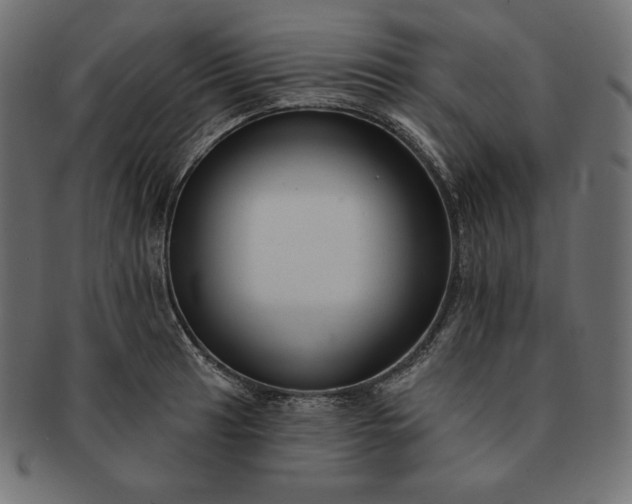 X0000091701041200709071344