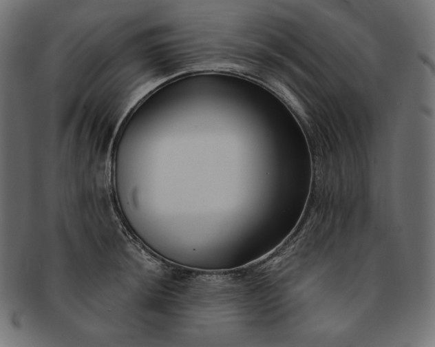 X0000091701044200709071344