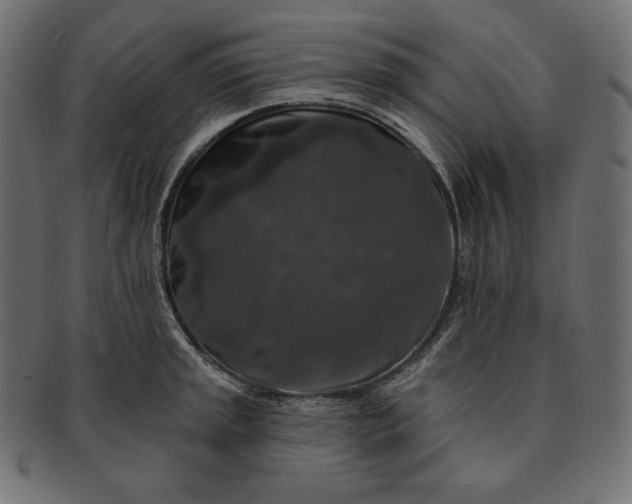 X0000091701045200709071344