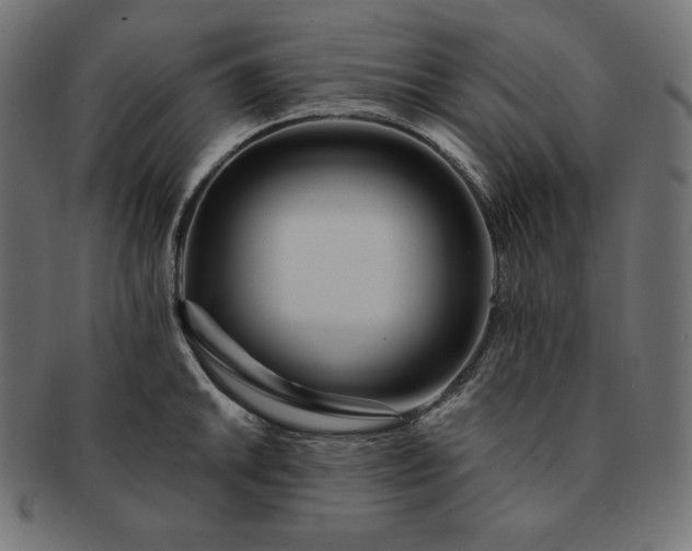 X0000091701046200709071344