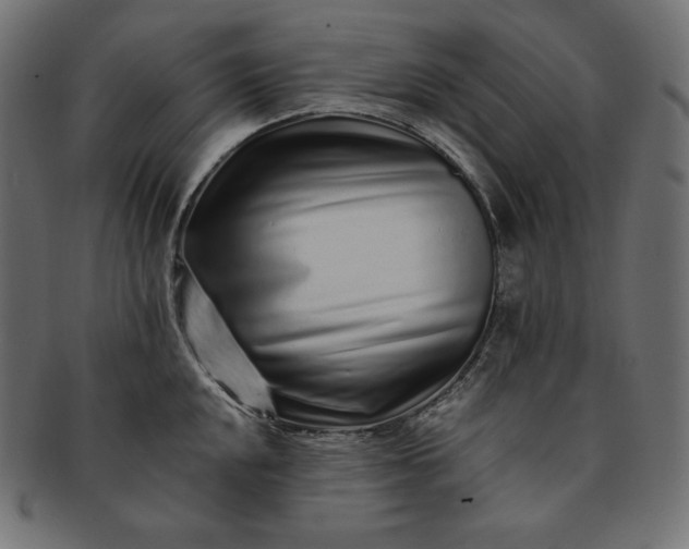 X0000091701048200709071344