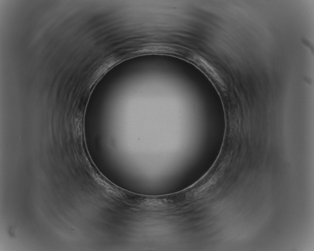 X0000091701049200709071344