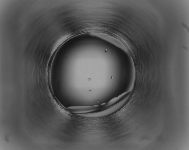 X0000091701050200709071344