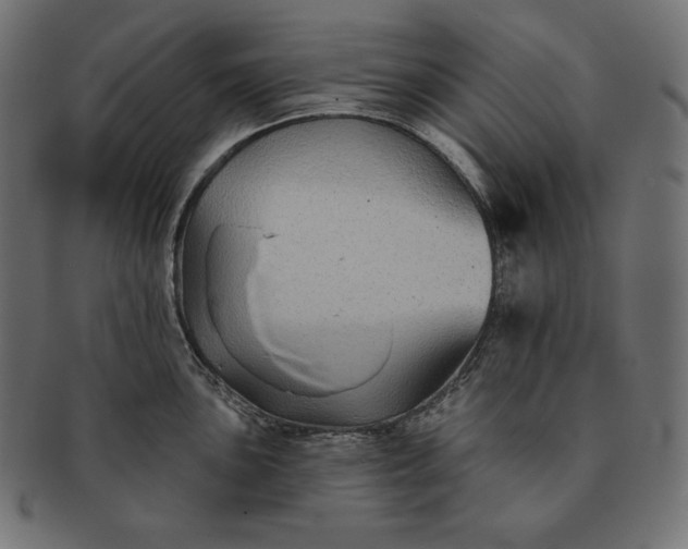 X0000091701051200709071344