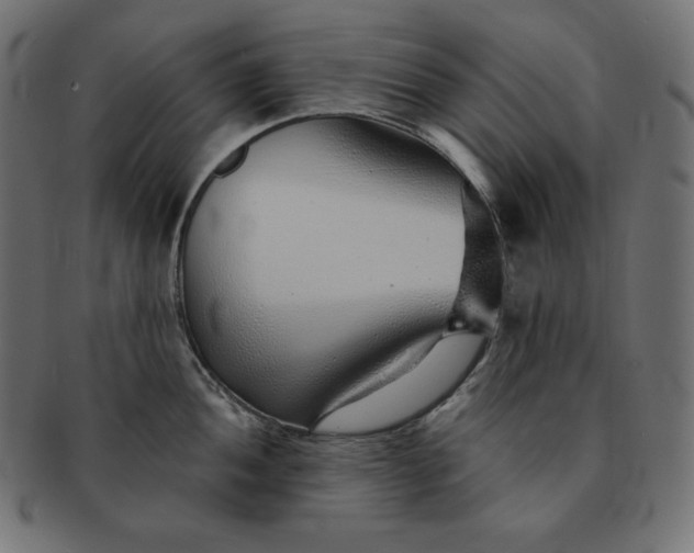 X0000091701052200709071344