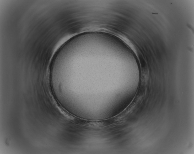 X0000091701053200709071344