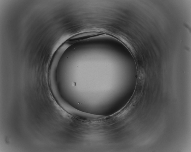 X0000091701054200709071344