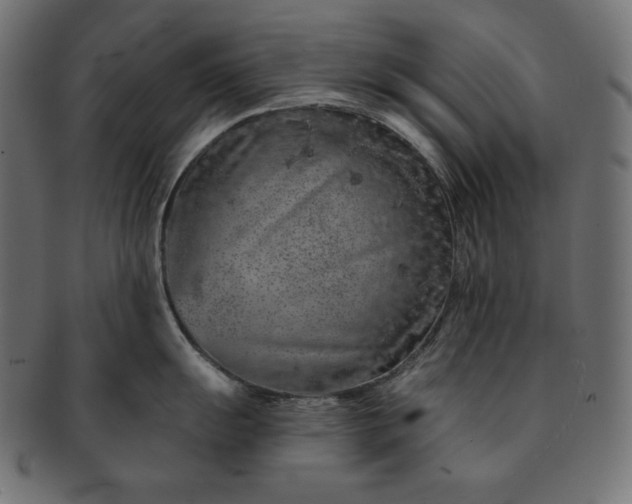 X0000091701055200709071344