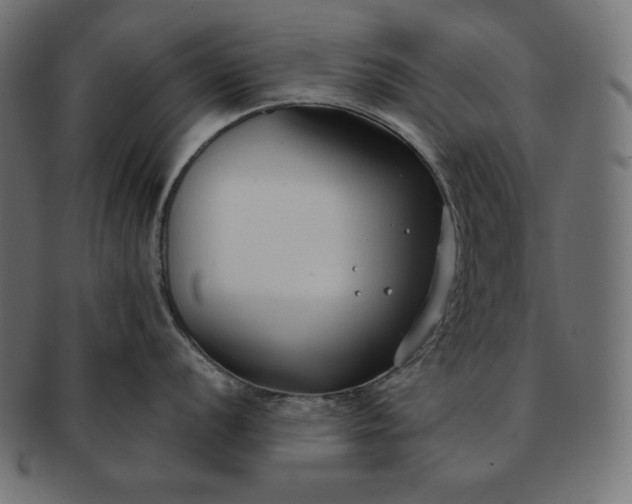 X0000091701056200709071344