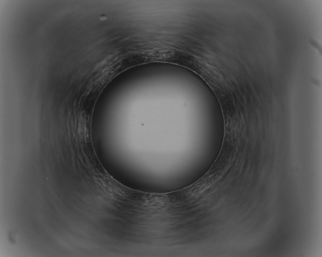 X0000091701058200709071344