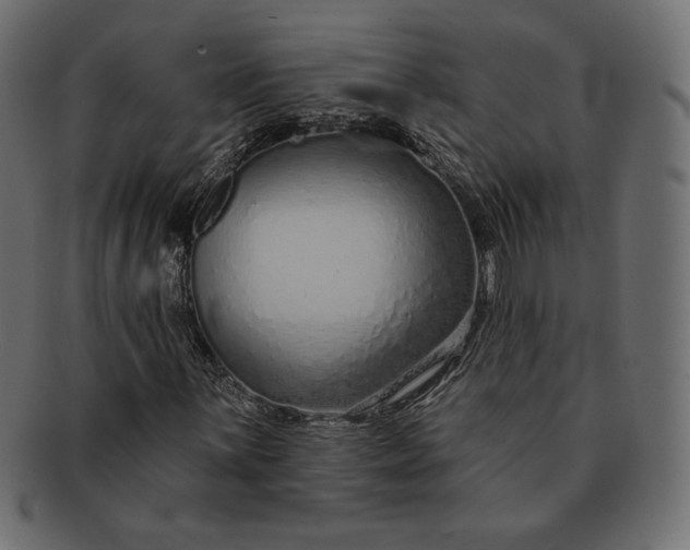 X0000091701059200709071344