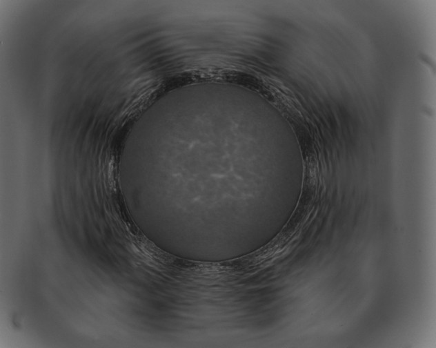 X0000091701060200709071344