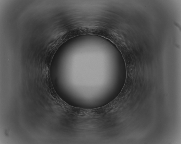 X0000091701061200709071344