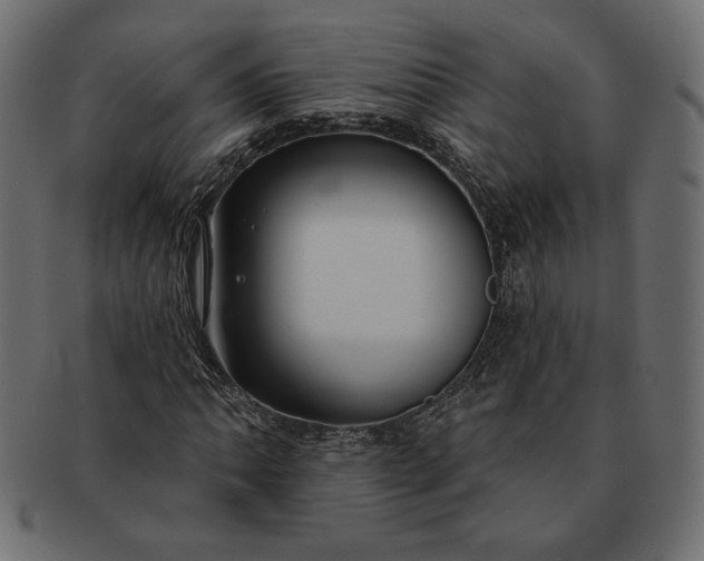 X0000091701062200709071344