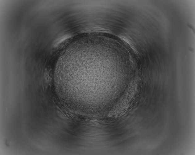 X0000091701063200709071344