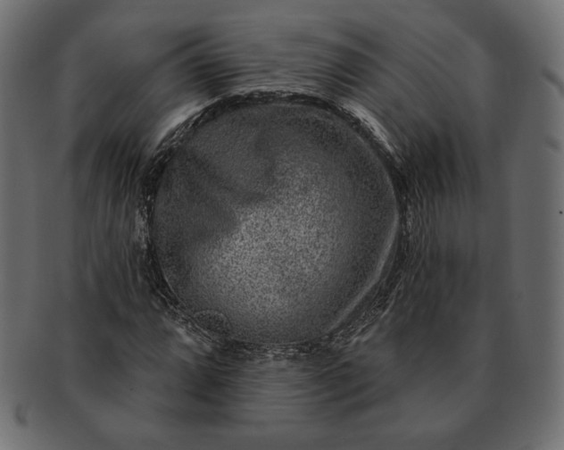 X0000091701064200709071344