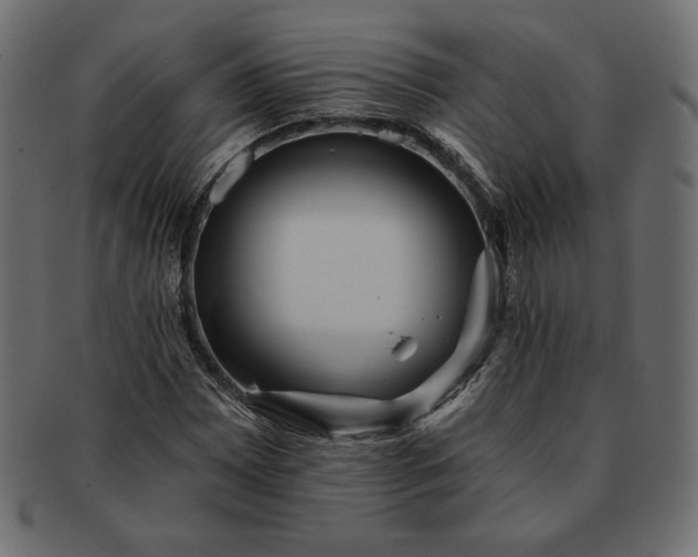 X0000091701065200709071344