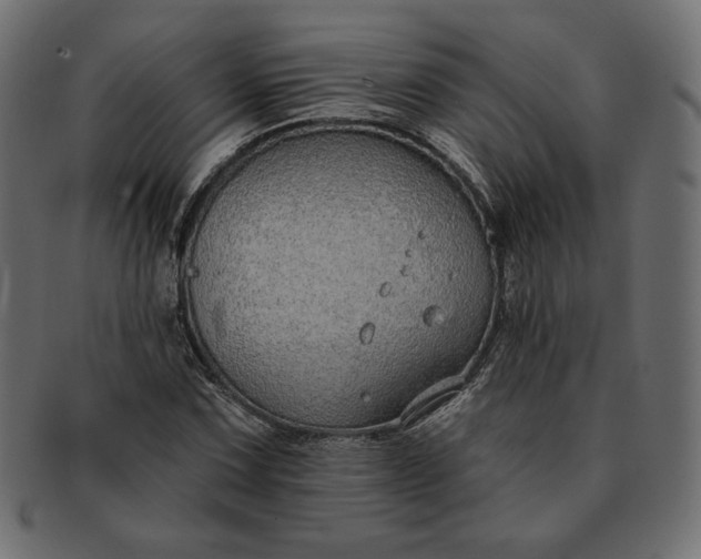 X0000091701067200709071344