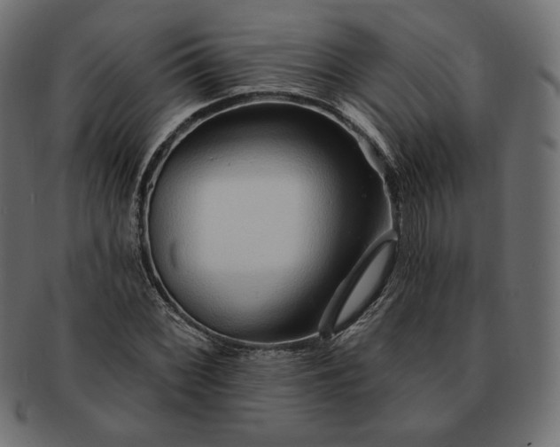 X0000091701068200709071344