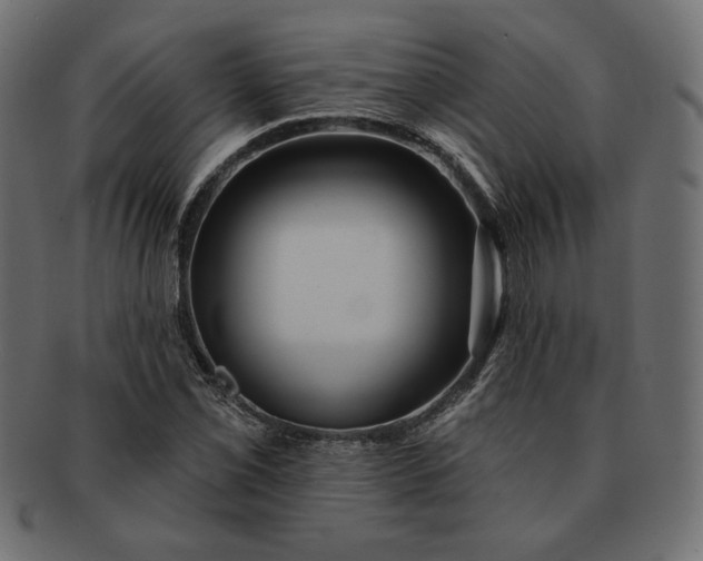 X0000091701069200709071344