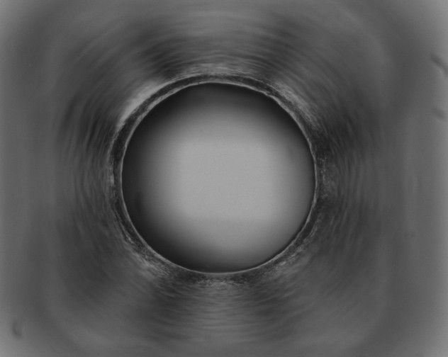 X0000091701070200709071343