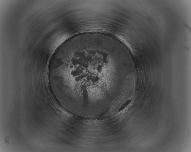 X0000091701071200709071343