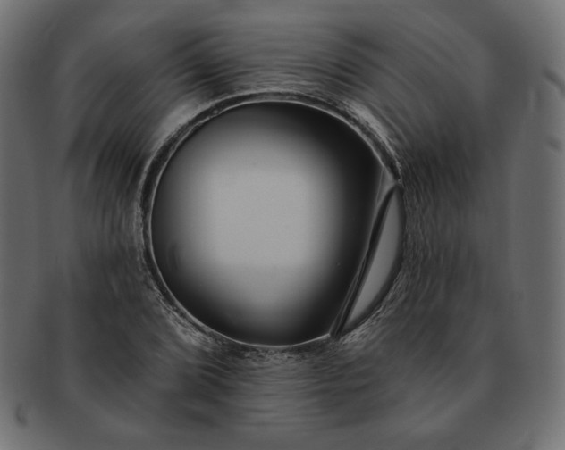 X0000091701072200709071343