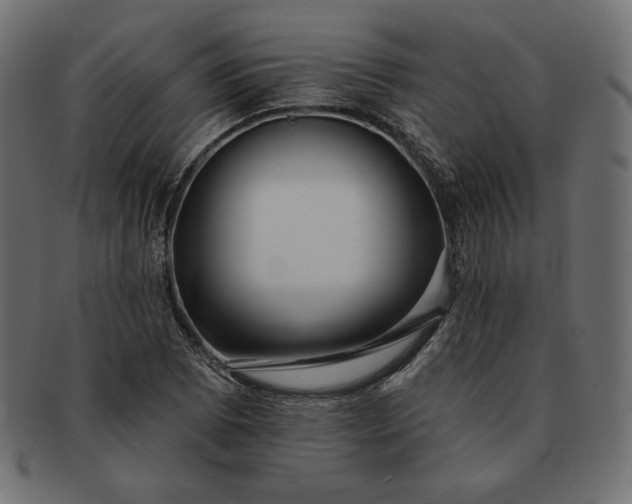 X0000091701073200709071343