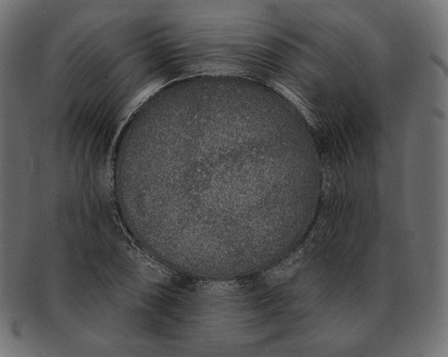 X0000091701074200709071343