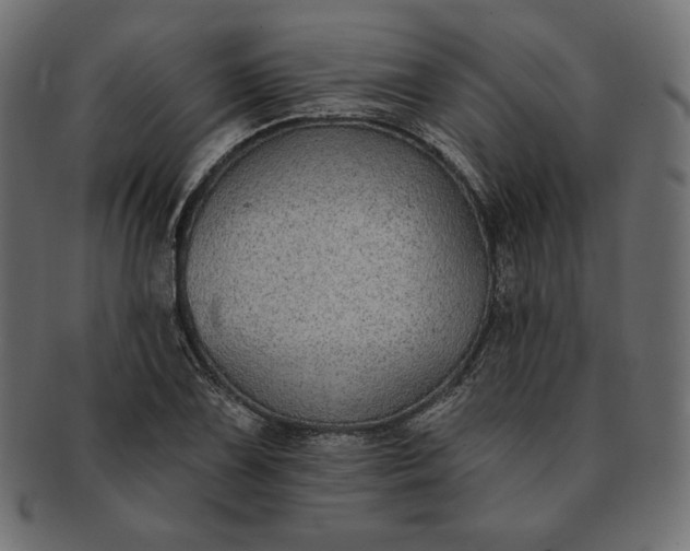 X0000091701075200709071343