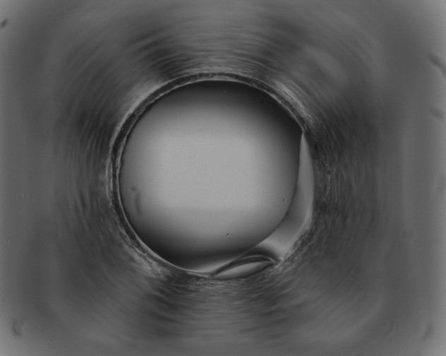 X0000091701076200709071343