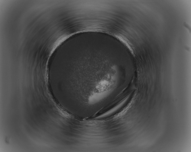 X0000091701077200709071343