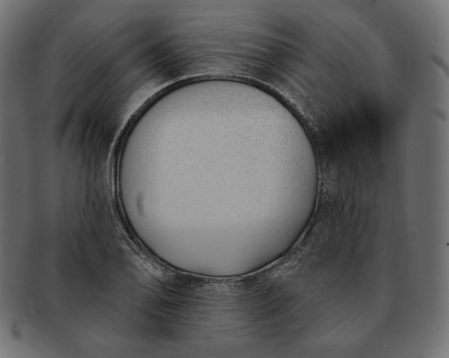 X0000091701078200709071343