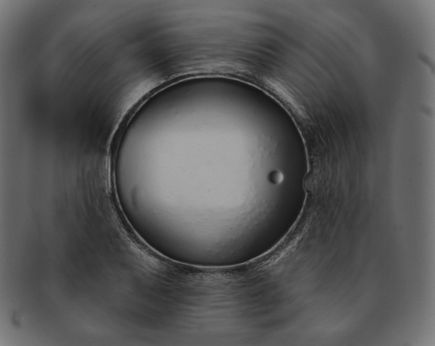 X0000091701079200709071343