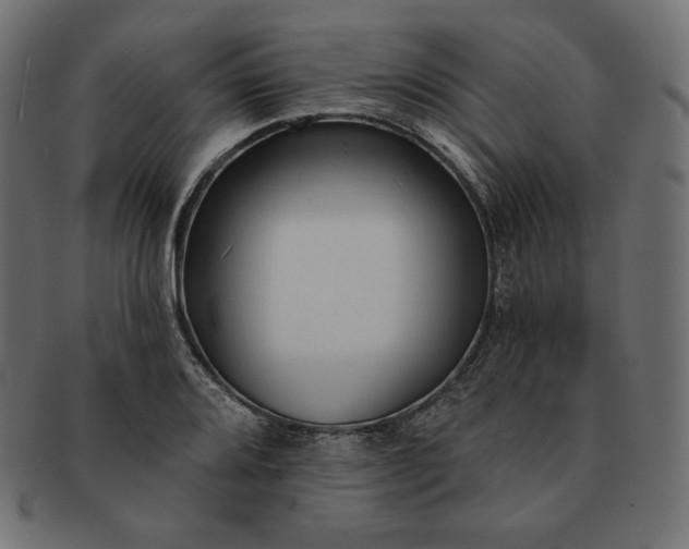 X0000091701080200709071343