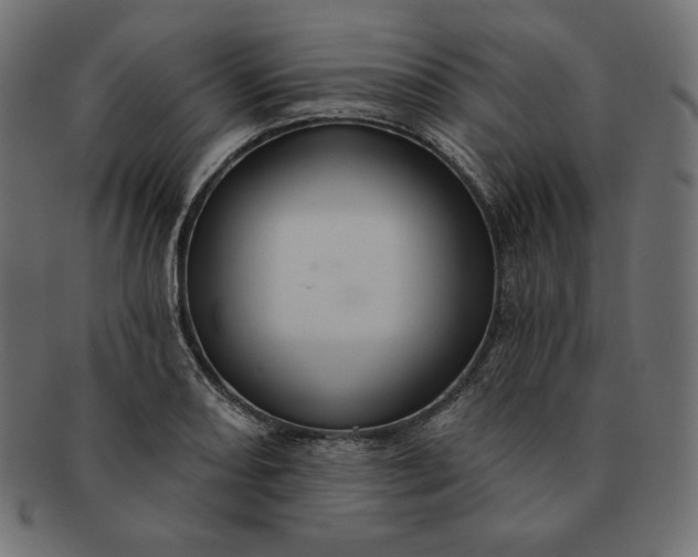 X0000091701082200709071343